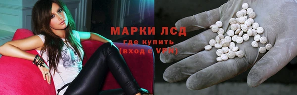 стаф Аркадак