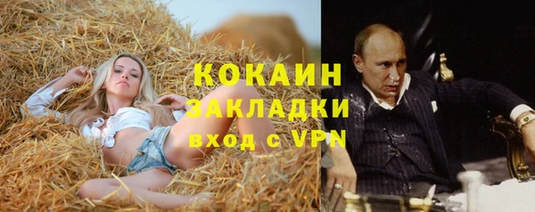 стаф Аркадак