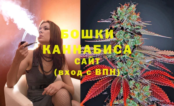 стаф Аркадак